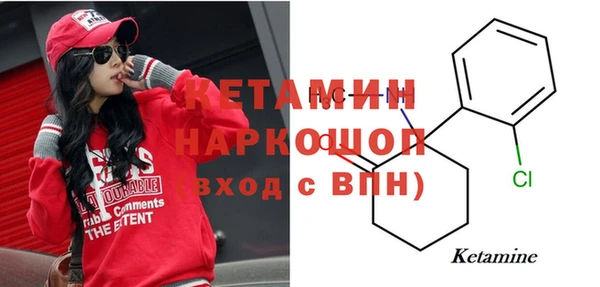 трава Абаза